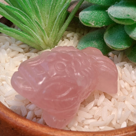 Rose Quartz Three Legged Toad Feng Shui Carving~CRTLTRSQ