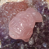 Rose Quartz Three Legged Toad Feng Shui Carving~CRTLTRSQ