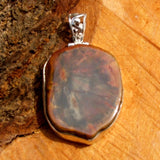 Petrified Wood Pendant