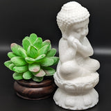 White Jade Sitting Buddha~CRWJSITB