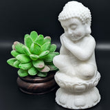 White Jade Sitting Buddha~CRWJSITB