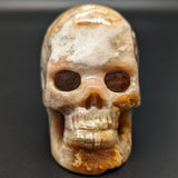 Agatized Coral Skull #1~CRAGCSK1