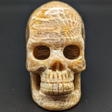 Agatized Coral Skull #2~CRAGCSK2