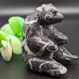 Shell Marble Panda~CRSHMPAN