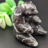 Shell Marble Panda~CRSHMPAN