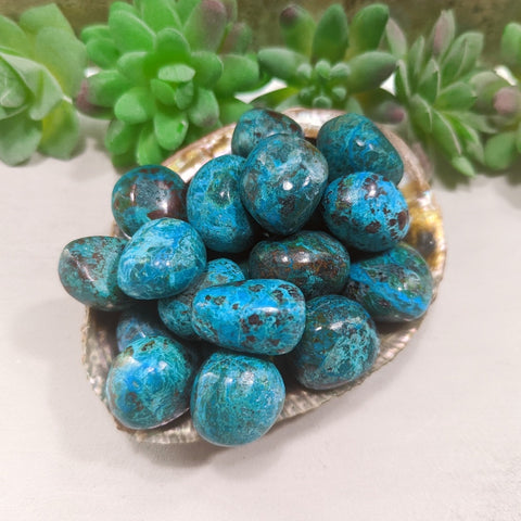 Chrysocolla Tumbled~ TUMCHRYS