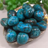 Chrysocolla Tumbled~ TUMCHRYS