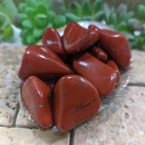 Tumbled Red Jasper~TUMRDJAS