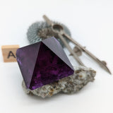 Purple Alum~Lab Grown~CRLGPALU