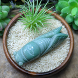 Amazonite Cicada~CRAMCIC1