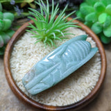 Amazonite Cicada~CRAMCIC1