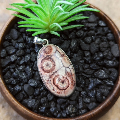 Birds Eye Rhyolite Pendant~JSSBERP2