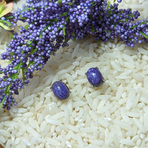 Charoite Post Earrings~JSSCEAR1