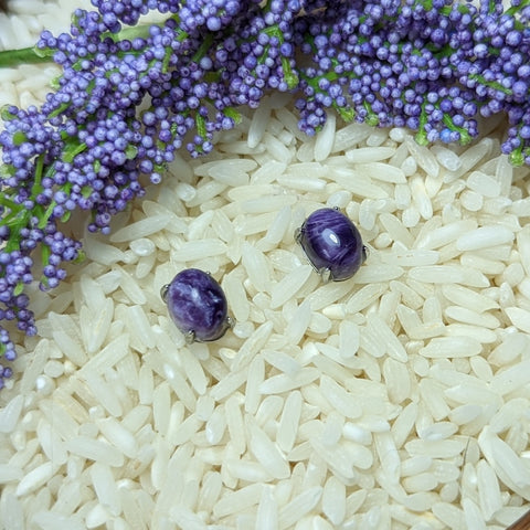 Charoite Post Earrings~JSSCEAR4