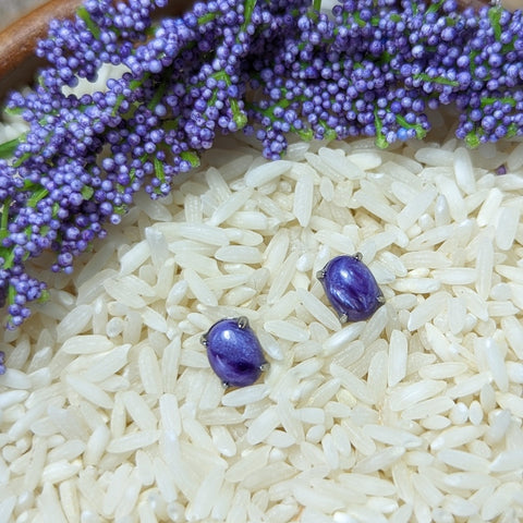 Charoite Post Earrings~JSSCEAR5