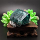 Green Fluorite Specimen~CRGFSP01