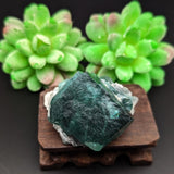 Green Fluorite Specimen~CRGFSP01