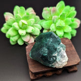 Green Fluorite Specimen~CRGFSP01