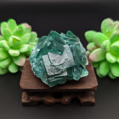 Green Fluorite Specimen~CRGFSP02