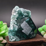 Green Fluorite Specimen~CRGFSP03