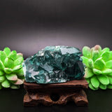 Green Fluorite Specimen~CRGFSP04