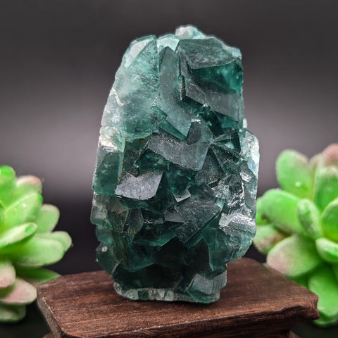 Green Fluorite Specimen~CRGFSP04