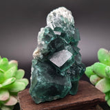 Green Fluorite Specimen~CRGFSP05