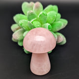 Rose Quartz Mushroom~CRRQMSR3