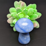 Blue Aventurine Mushroom~CRBAMUSH
