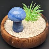 Blue Aventurine Mushroom~CRBAMUSH