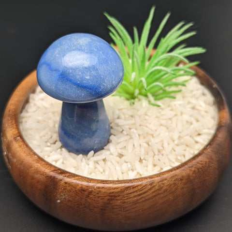 Blue Aventurine Mushroom~CRBAMUSH