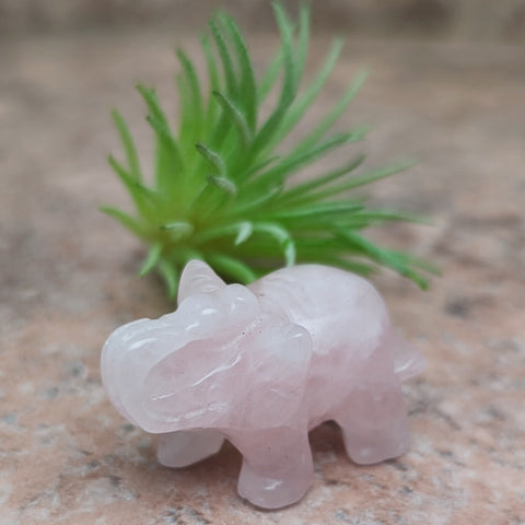 Rose Quartz Elephant ~CRRQELEP