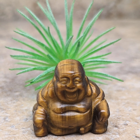 Tiger Eye Laughing Buddha~CRTELBD2