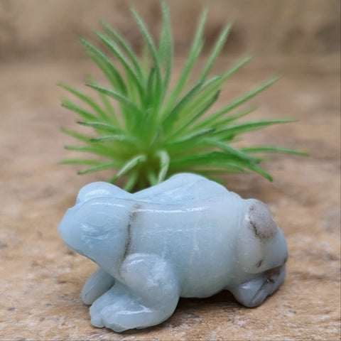 Amazonite Frog~ CRAMFROG