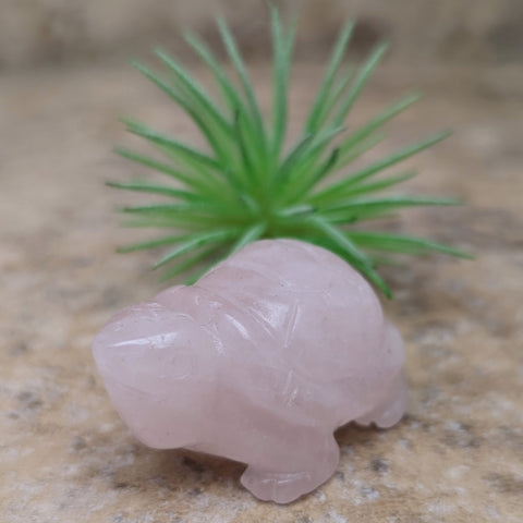 Rose Quartz Turtle ~CRRQTURT