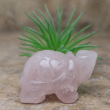 Rose Quartz Turtle ~CRRQTURT