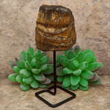 Tiger Eye Chunk on Metal Stand~CRTESTND