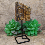 Tiger Eye Chunk on Metal Stand~CRTESTND