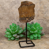 Tiger Eye Chunk on Metal Stand~CRTESTND