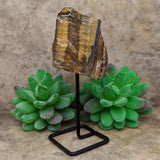 Tiger Eye Chunk on Metal Stand~CRTESTND