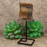 Tiger Eye Chunk on Metal Stand~CRTESTND