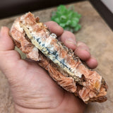 Barite Crystal Specimen~CRBARS17