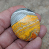 Bumblebee Jasper Palm Stone~CRBBJP02