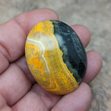 Bumblebee Jasper Palm Stone~CRBBJP03