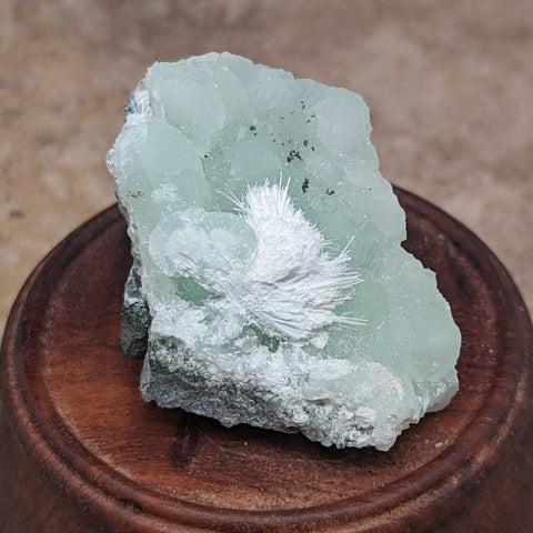 Natrolite on Prehnite Specimen~CRNATPRE