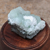 Natrolite on Prehnite Specimen~CRNATPRE