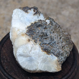 Natrolite & Calcite Specimen~CRNATCAL