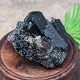 Titanite & Augite Specimen~CRTIAUGS