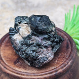 Titanite & Augite Specimen~CRTIAUGS