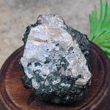 Titanite & Augite Specimen~CRTIAUGS